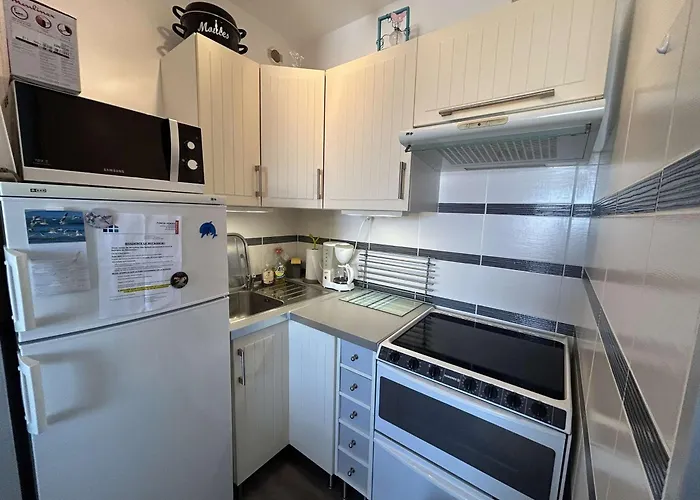 Moderne 3 Pièces, Vue Mer, Parking Privé, 5 Couchages - Fr-1-224c-348 *